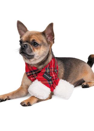Зимний новогодний шарф happy для собак размер m-xl2 фото