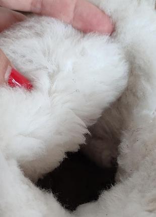 Сапоги угги ugg валянки сапожки 4