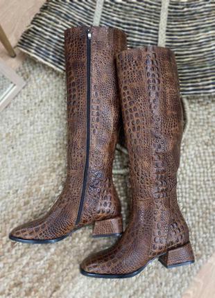 Дизайнерські чоботи belucci 👄белуччі шкіра натуральна пітон2 фото
