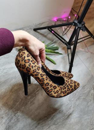Тигрові туфлі so fabulous 39р.5 фото