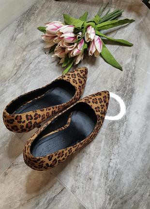 Тигрові туфлі so fabulous 39р.4 фото