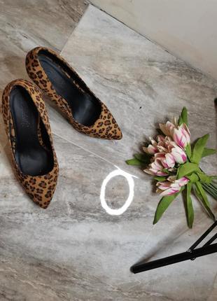 Тигрові туфлі so fabulous 39р.7 фото