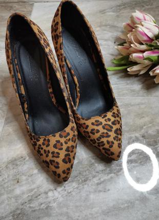Тигрові туфлі so fabulous 39р.8 фото
