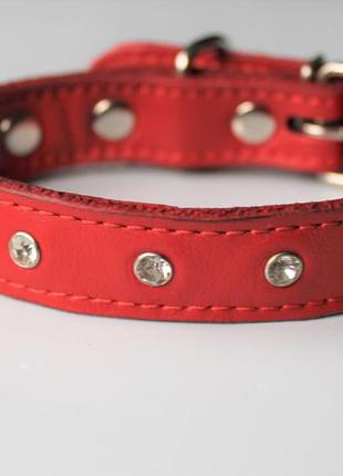 Ошейник со стразами "lockdog" для небольших пород собак красный
