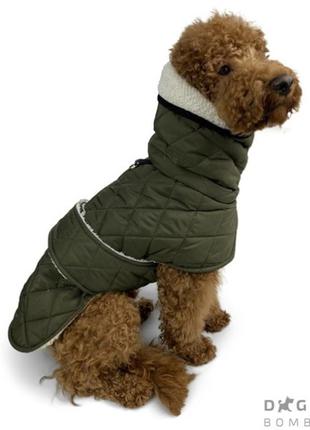 Осенне-зимний жилет для собак gl-4 dogs bomba, модель унисекс5 фото