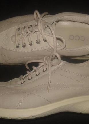 36р-23.8 шкіра ессо