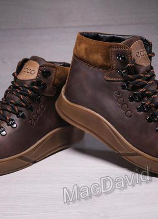 Зимние кожаные спортивные ботинки, кроссовки на меху ecco nubuck brown5 фото