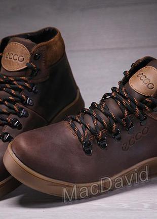 Зимние кожаные спортивные ботинки, кроссовки на меху ecco nubuck brown8 фото