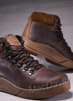 Зимние кожаные спортивные ботинки, кроссовки на меху ecco nubuck brown9 фото