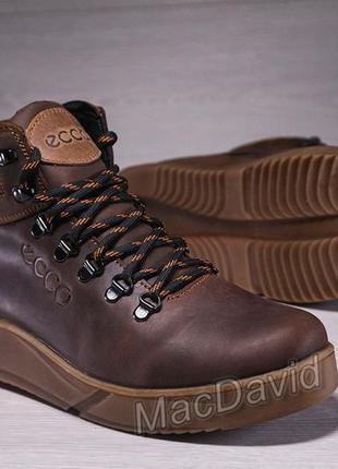 Зимние кожаные спортивные ботинки, кроссовки на меху ecco nubuck brown10 фото