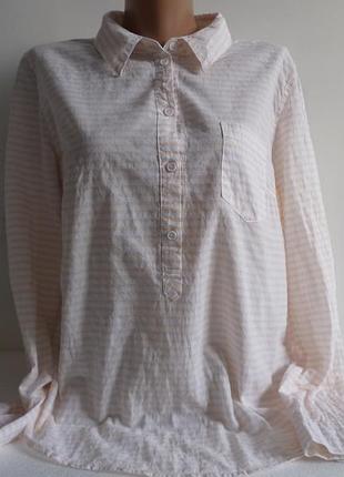 Бавовняна сорочка в смужку