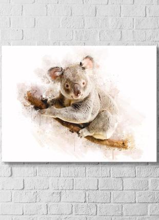 Коала постер коала на стену коала картина коала декор коала на білому фоні коала декор постер коала