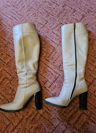 Сапоги кожа, еврозима