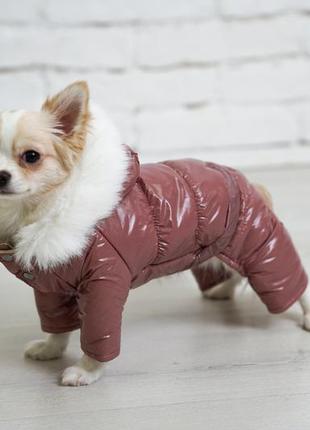 Зимовий комбінезон для собак блискучий