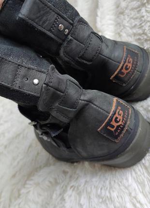 Кожаные сапоги, теплые ботинки ugg3 фото