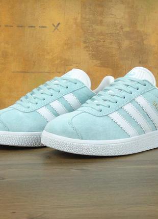 gazelle 37