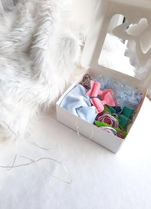 Набір аксесуарів