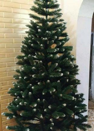 Ялинка королева вайт