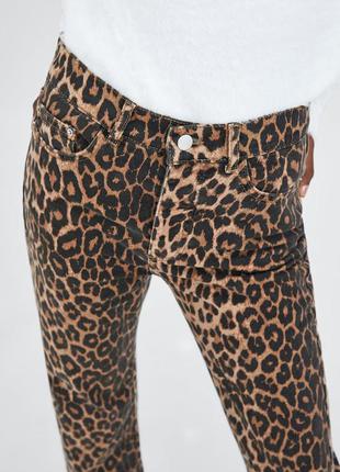 Леопардовые джинсы amisu