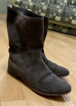 Сапоги низкие замшевые monroe