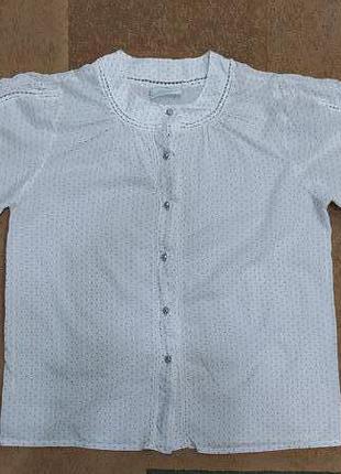 Рубашка блуза блузка недорого безрукавка