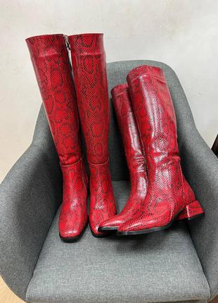 Жіночі чоботи з натуральної шкіри в червоному пітоні2 фото