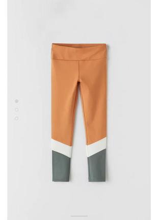 Спортивні штани для дівчинки zara 164 см2 фото