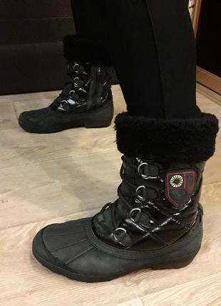 Зимові чоботи ugg 39 р. (устілка 25 см)на ногу з невеликим подьемом