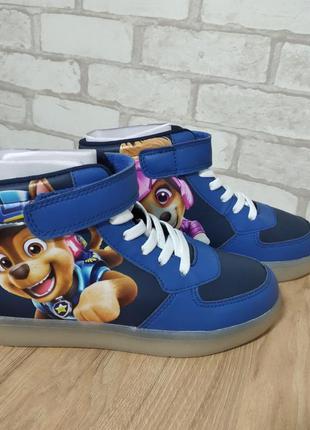 Хайтопы демі