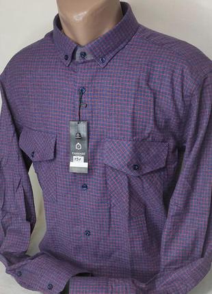 Рубашка мужская кашемир (турция) с длинным рукавом fiorenzo vd-0131 в клетку, тёплая классика клетчатая2 фото
