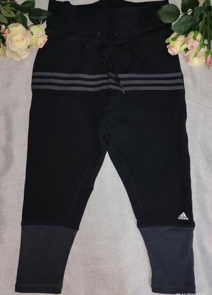 Спортивні бриджі adidas climalaite xs