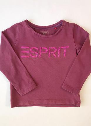 Кофта дитяча на дівчинку esprit кофта детская на девочку 2-3 роки