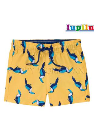 Пляжные шорты для мальчика 1-2 года lupilu детские плавательные