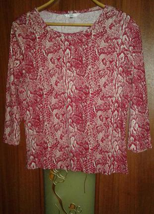 Реглан в рубчик принт змія