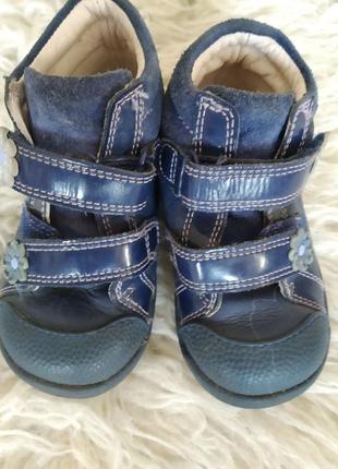 Кожаные ботинки весна clarks 21