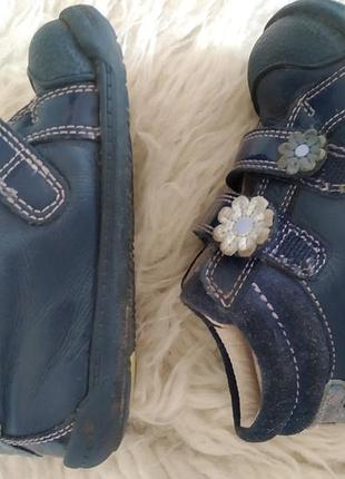 Шкіряні черевики весна clarks 21 3