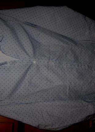 Блуза в горошек полоска сине-голубая