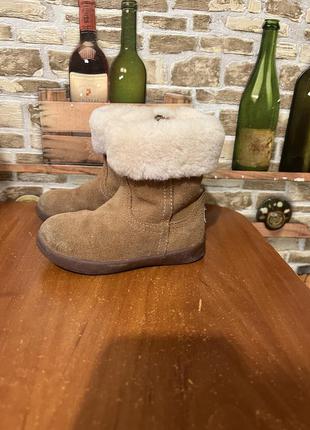 Зимние сапоги/ ботинки ugg- оригинал