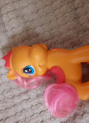 Пони pony