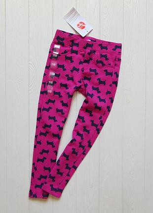 Cool club. розмір 5 років. нові яскраві джеггінси для дівчинки