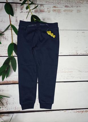 Утеплені спортивні штани спортивние