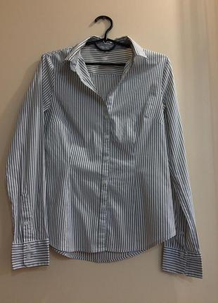 Блуза жіноча сорочка