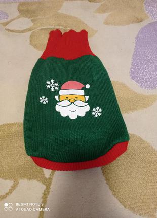 Новогодний свитерок для ваших питомцев