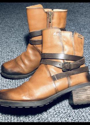 Чоботи, черевики