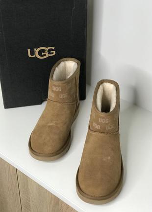 Обувь зимняя ugg classic mini модель унисекс