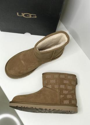 Обувь зимняя ugg classic mini модель унисекс2 фото