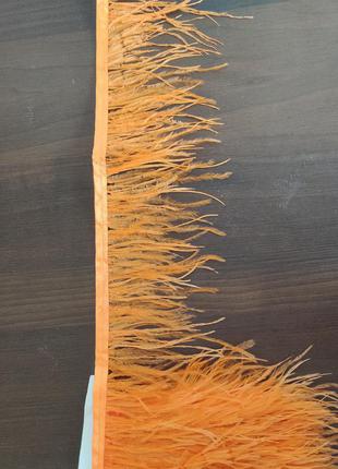 Оранжевые перья страуса на ленте3 фото