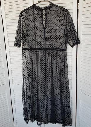 Платье миди сеточка в горох