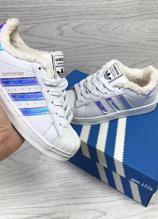 Кросівки жіночі адідас adidas superstar
