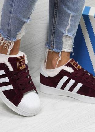 Женские кроссовки adidas superstar бордовый зимний мех скидка sale  ⁇  женские кроссовки зима smb5 фото